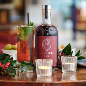 Sloe Gin Masterclass @ The Glassboat