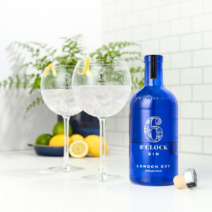 Gin & Glasses Gift Bundle