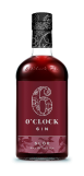 Bottle of sloe gin