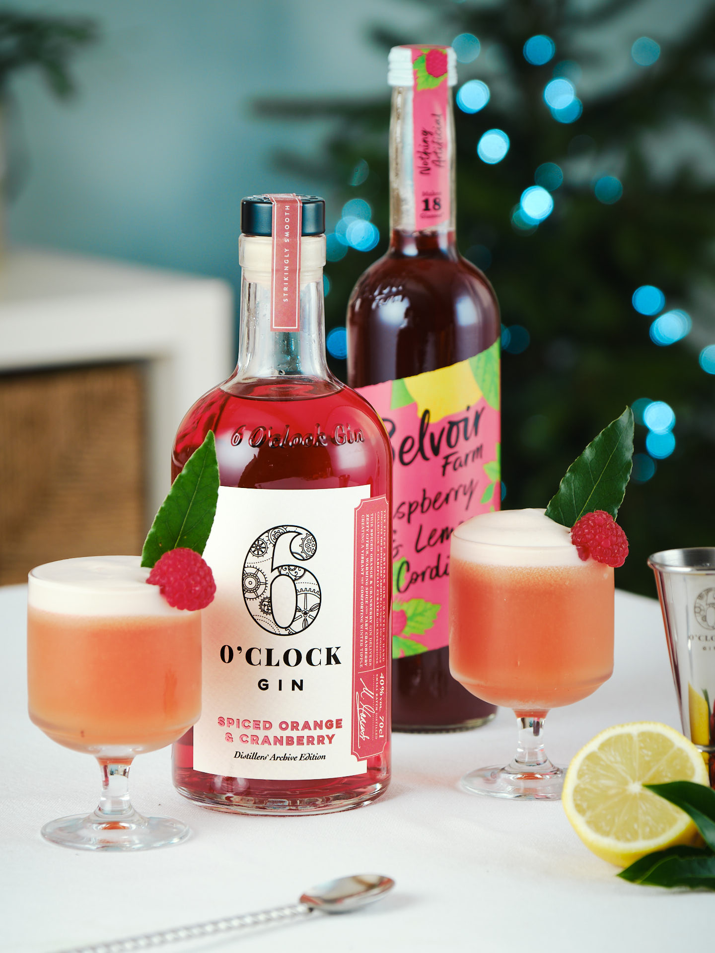 Spiced Orange & Cranberry Clover Club