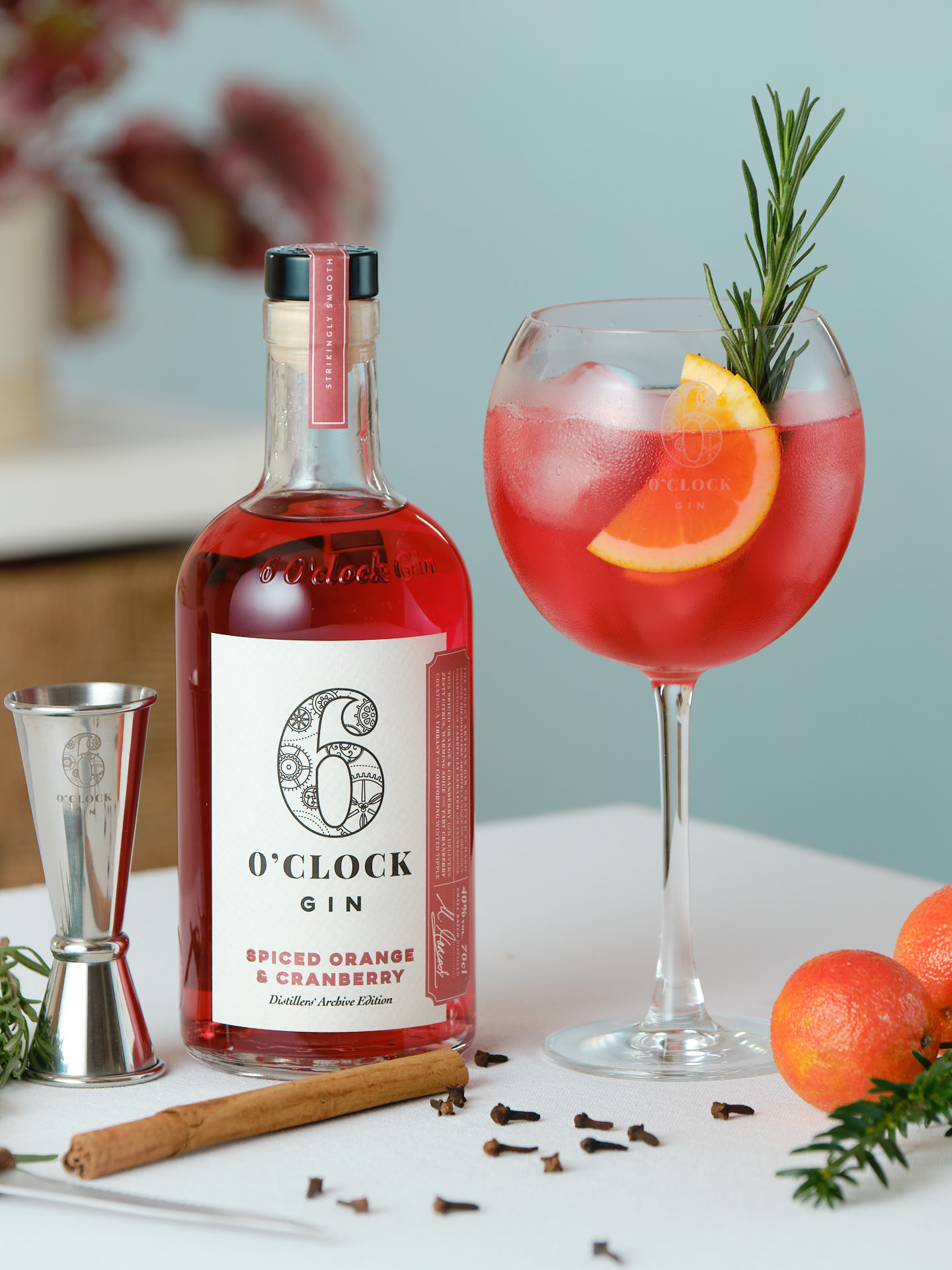 6 O’clock Spiced Orange & Cranberry Gin & Tonic